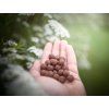 Salmon & Arctic krill training treats  Fish training treats · approx. 12 mm · poultry-free