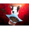 Salmon & Arctic krill training treats  Fish training treats · approx. 12 mm · poultry-free