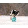 JW Hol-ee Roller Medium  Flexible open natural-rubber dog toy · 11 cm