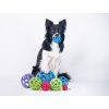 JW Hol-ee Roller Medium  Flexible open natural-rubber dog toy · 11 cm