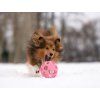 JW Hol-ee Roller Medium  Flexible open natural-rubber dog toy · 11 cm