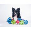 JW Hol-ee Roller Medium  Flexible open natural-rubber dog toy · 11 cm