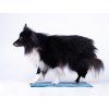 Floro Agility Equipment Tartan Target  Non-slip tartan target for agility contacts and precision training