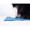 Floro Agility Equipment Tartan Target  Non-slip tartan target for agility contacts and precision training