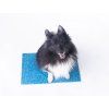 Floro Agility Equipment Tartan Target  Non-slip tartan target for agility contacts and precision training