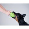 JW Hol-ee Football  Flexible open natural-rubber dog toy · 4 sizes