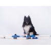 d'animo concept Training Jump – agility / rally obedience  Light collapsible training jump for agility and rally obedience