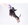 Sheepskin bungee tug LONG  Natural sheepskin · approx. 130 cm · bungee