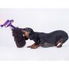Sheepskin bungee tug LONG  Natural sheepskin · approx. 130 cm · bungee
