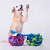 Přetahovadlo Pompon bungee  Fleecový pompon · JW Hol-EE Roller · amortizér