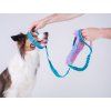 Agility vodítko Rainbow Bungee s amortizérem  S obojkovou částí a duhovou hračkou pro odměnu