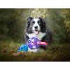 JW Hol-EE Gitterball mit Griff  Offener Hundeball mit Griff für interaktives Spiel