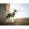 Non-stop dogwear Fjord raincoat