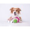 Chuckit! Erratic Bungee-Zergel  Bungee-Zergel mit unberechenbar springendem Chuckit! Erratic Ball · M