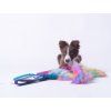 Rainbow Bungee Zergel mit Kunstfell  Regenbogen-Kunstfellzergel mit Bungee · 50 cm