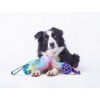 Rainbow Bungee tug with JW Hol-EE Small  Faux-fur bungee tug with JW Hol-EE Small ball