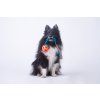 Chuckit! Breathe Right Ball Bungee-Zergel  Bungee-Zergel mit belüftetem Chuckit! Breathe Right Ball · 50 cm