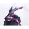Non-stop dogwear Line Harness 5.0  Uniwersalne krótkie szelki dla psa na co dzień