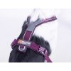 Non-stop dogwear Postroj Line 5.0