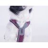 Non-stop dogwear Line Harness 5.0  Uniwersalne krótkie szelki dla psa na co dzień