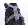 Non-stop dogwear Line Harness 5.0  Uniwersalne krótkie szelki dla psa na co dzień