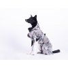 PAIKKA Recovery Raincoat CAMO  Reflektierender wasserdichter Hunderegenmantel mit FIR-Recovery-Futter