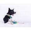 Hundehalsband Sweet No. 2  Originální SweetEnergy design | 5 velikostí