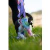 Přetahovadlo Rainbow se střapcem bungee LONG