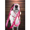 Obojok pre psov Sweet Hot Pink  Originálny dizajn SweetEnergy | 5 veľkostí