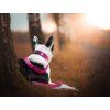 Smycz dla psa Sweet Hot Pink  Klasyczna 1,2 m lub przepinana do 2 m · 20/25 mm