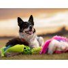 Ultra Super Motivations-Zergel  Schaf · Kaninchen · Mop · JW Hol-EE · Quietscher · Bungee