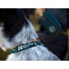 Non-stop dogwear Obojek Trail quest collar Rachel Pohl