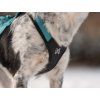 Non-stop dogwear Rush harness  Short pulling harness for active dogs
