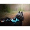 Non-stop dogwear Rush harness  Short pulling harness for active dogs