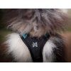 Non-stop dogwear Rush harness  Short pulling harness for active dogs