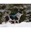 Non-stop dogwear Rush harness  Short pulling harness for active dogs