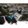 Non-stop dogwear Rush harness  Short pulling harness for active dogs