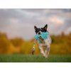 Mop bungee tug toy Agility comic  Microfiber mop tug with bungee · 50 cm