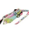 Rainbow Bungee agility leash Agility comic  Bungee agility leash with rainbow tug and collar section