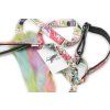 Rainbow Bungee agility leash Agility comic  Bungee agility leash with rainbow tug and collar section