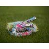 Rainbow Bungee agility leash Agility comic  Bungee agility leash with rainbow tug and collar section