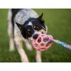 JW Hol-EE Roller bungee Agility komiks  Přetahovací hračka s děrovaným gumovým míčem a amortizérem