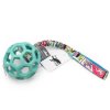 JW Pet Hol-EE Roller ball with bungee Agility comic