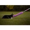 LONG squeaky mop bungee tug Agility comic  40 cm mop with 3 squeakers · bungee · 130 cm