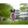 LONG squeaky mop bungee tug Agility comic  40 cm mop with 3 squeakers · bungee · 130 cm
