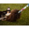 Schaffell Bungee LONG Zergel Agility Comic  Langer Schaffell-Bungee-Zergel · 130 cm