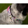 Agility comic martingale collar for dogs  Softshell-lined martingale collar · 25 mm