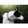Agility comic martingale collar for dogs  Softshell-lined martingale collar · 25 mm