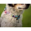 Agility comic martingale collar for dogs  Softshell-lined martingale collar · 25 mm