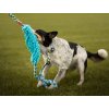 Braided leash with mop and bungee Agility comic
